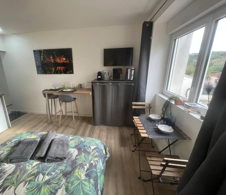 Verdi Studio Cosy Au Calme Parking Gratuit Chasse-sur-Rhône Exteriér fotografie