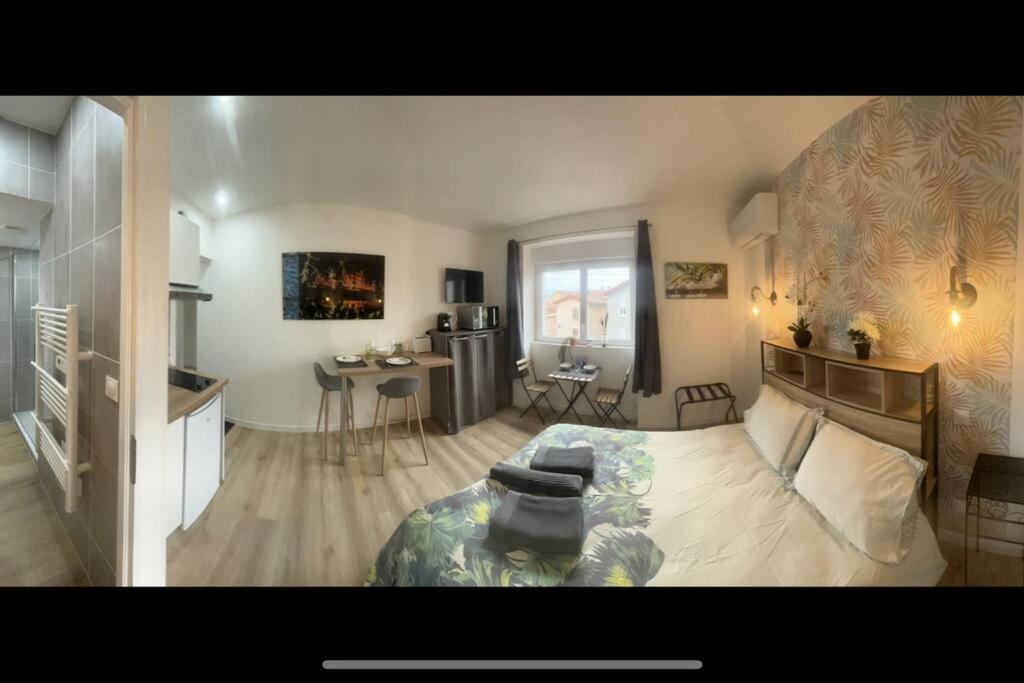 Verdi Studio Cosy Au Calme Parking Gratuit Chasse-sur-Rhône Exteriér fotografie